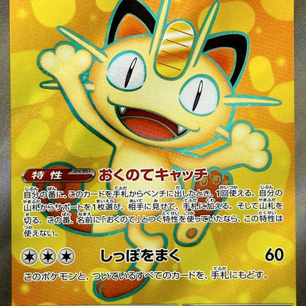 Full Art Pokemon Japanese Pokemon