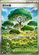 Full Art Pokemon Japanese Pokemon