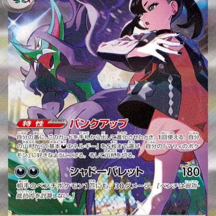 Full Art Pokemon Japanese Pokemon