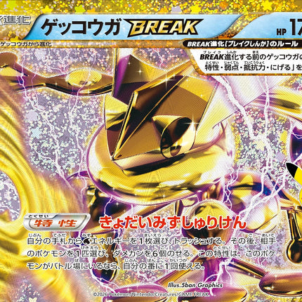Full Art Japanese Pokemon