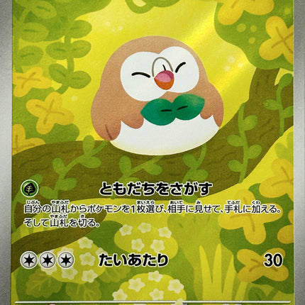Full Art Pokemon Japanese Pokemon