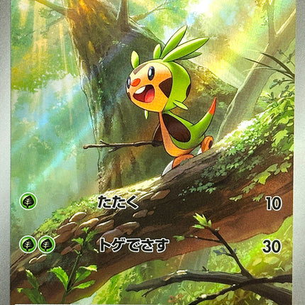 Base Set Pokemon Japanese Pokemon