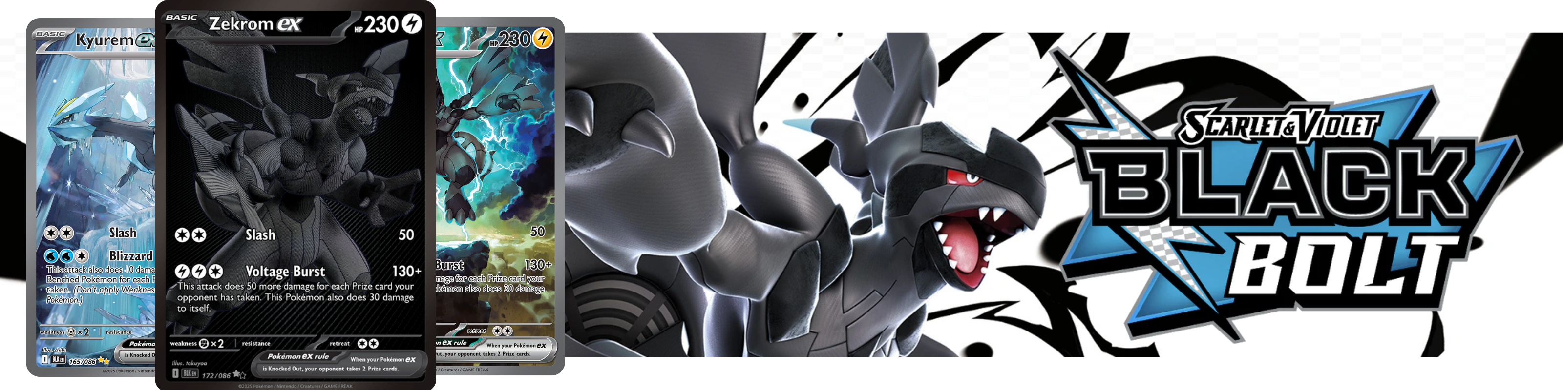BB_COLLECTION_ac2932c3-6540-45dd-a4c4-14b3a81b75d3.png