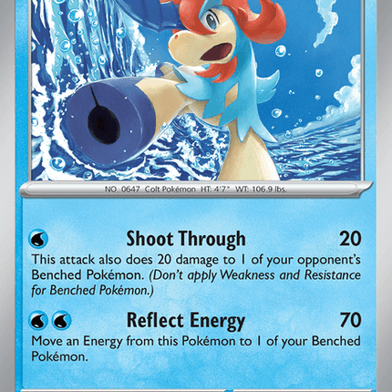 Keldeo - 019/086 - Rare