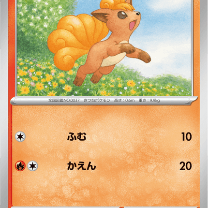 Base set Japanese Pokemon