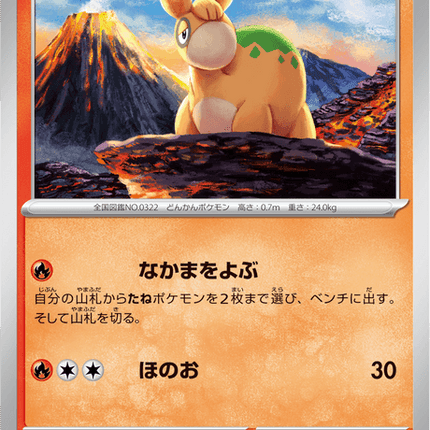 Base set Japanese Pokemon
