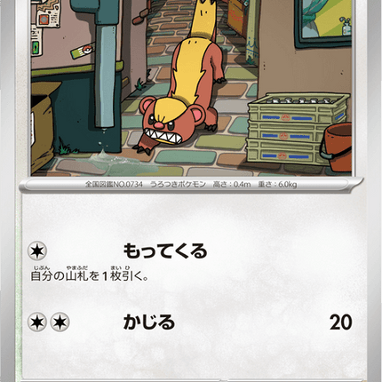 Base set Japanese Pokemon