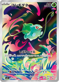 Full Art Pokemon Japanese Pokemon