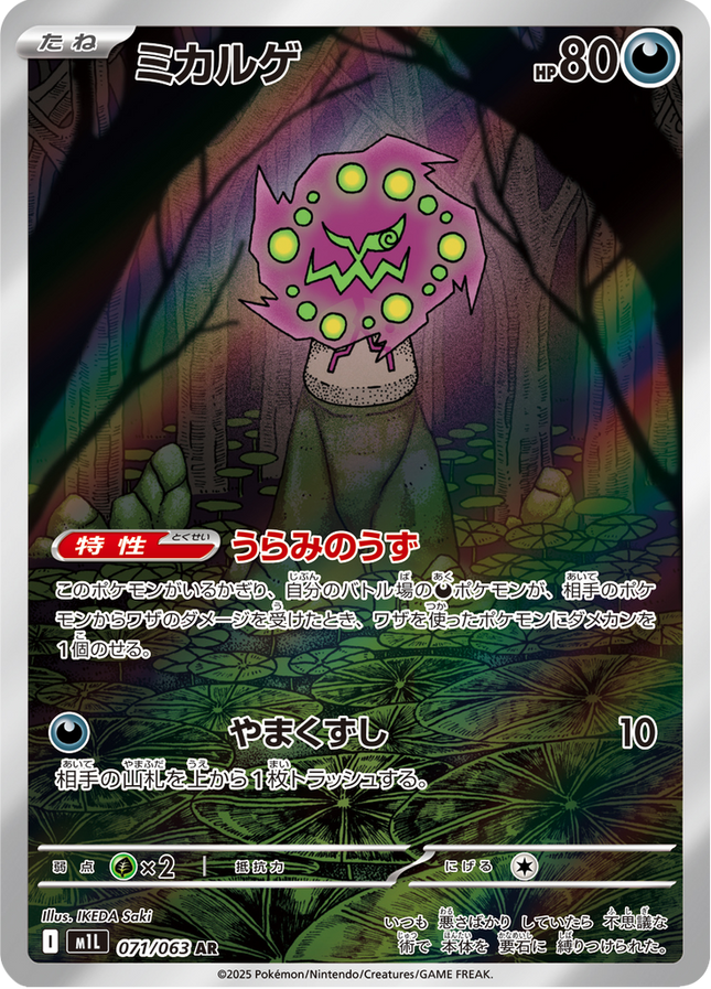 Full Art Pokemon Japanese Pokemon