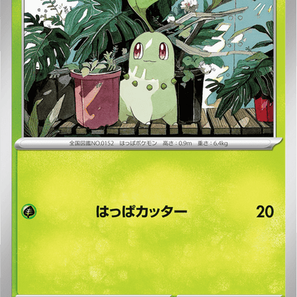 Base set Japanese Pokemon