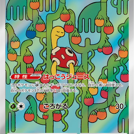 Full Art Pokemon Japanese Pokemon