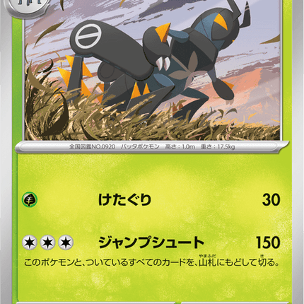 Base set Japanese Pokemon