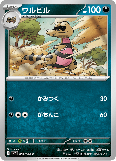 Base set Japanese Pokemon
