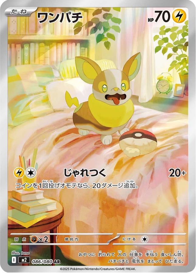 Full Art Pokemon Japanese Pokemon