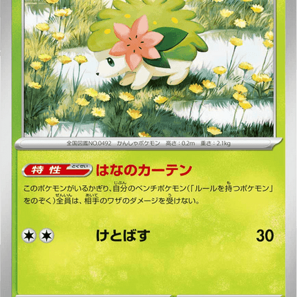 Base set Japanese Pokemon