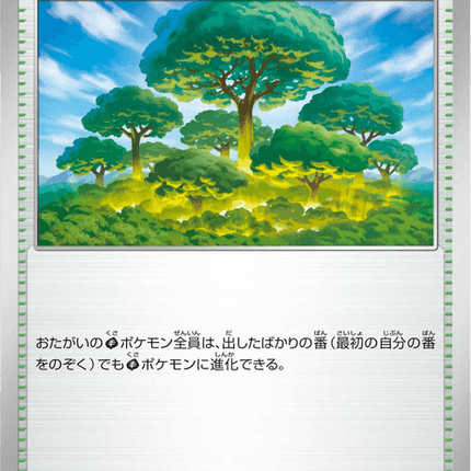 Base set Japanese Pokemon