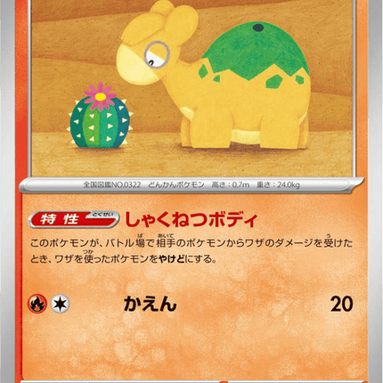 Base set Japanese Pokemon