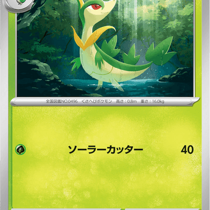 Base set Japanese Pokemon