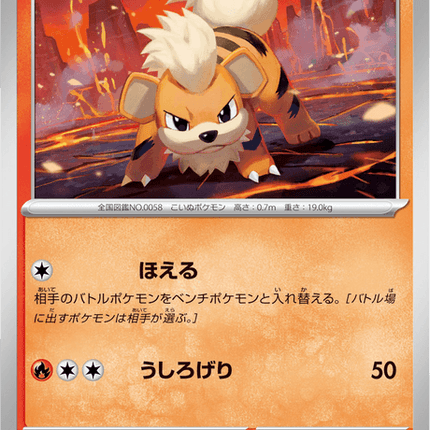 Base set Japanese Pokemon