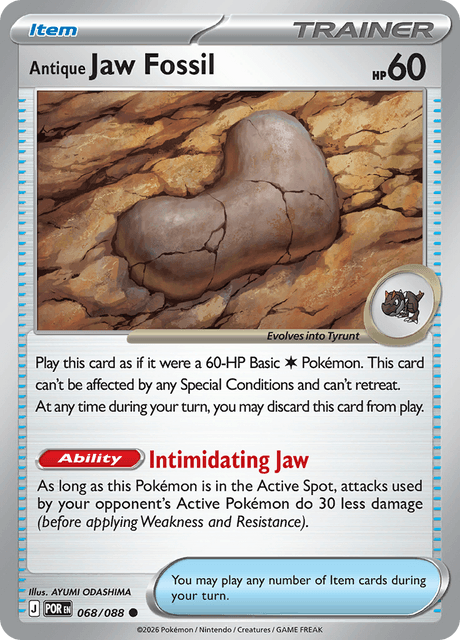 Antique Jaw Fossil - 068/088 - Common