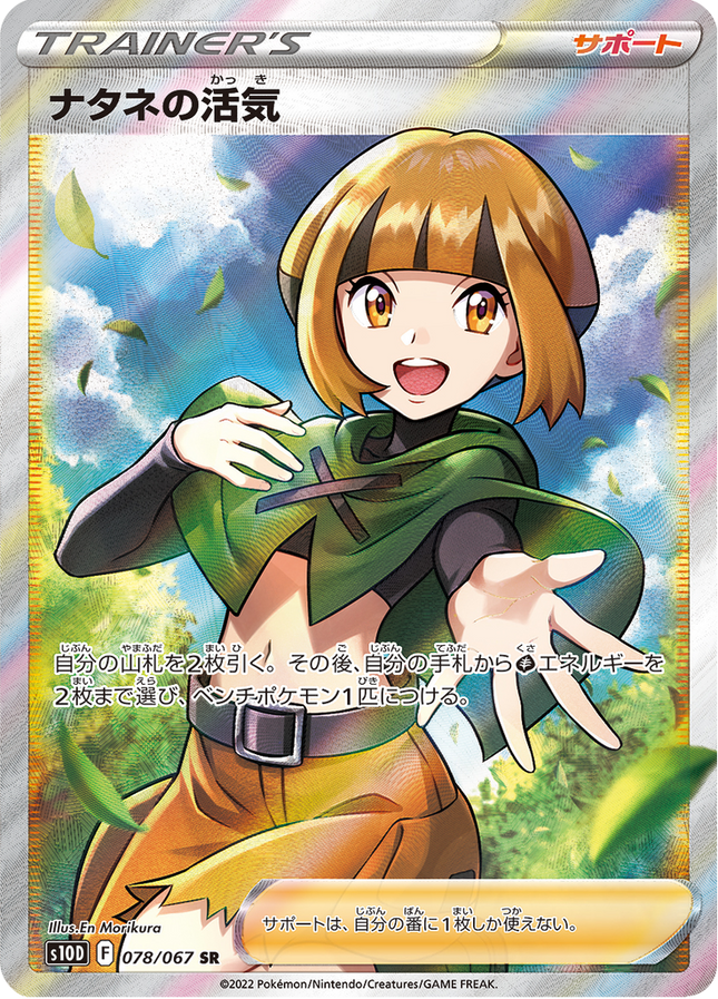 Full Art Japanese Pokemon