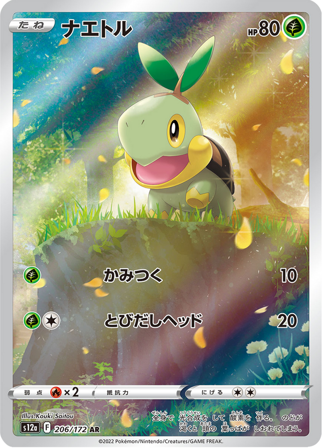 Full Art Japanese Pokemon