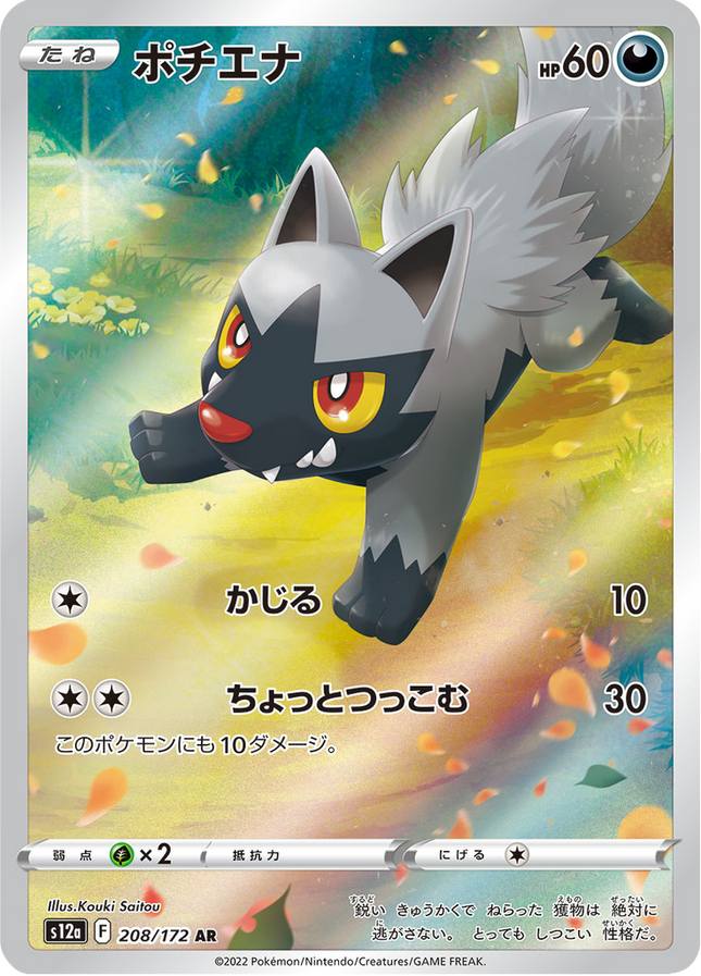 Full Art Japanese Pokemon