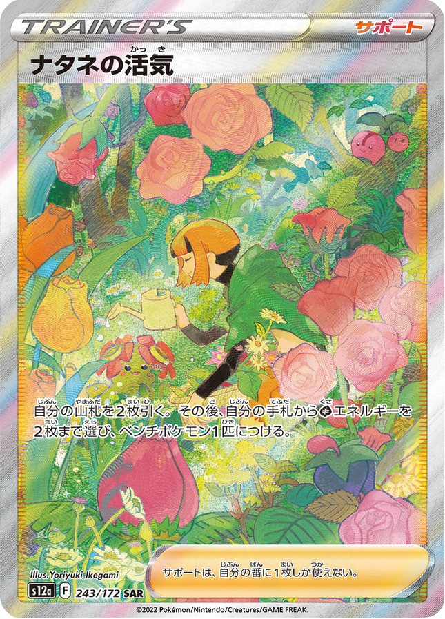 Full Art Japanese Pokemon