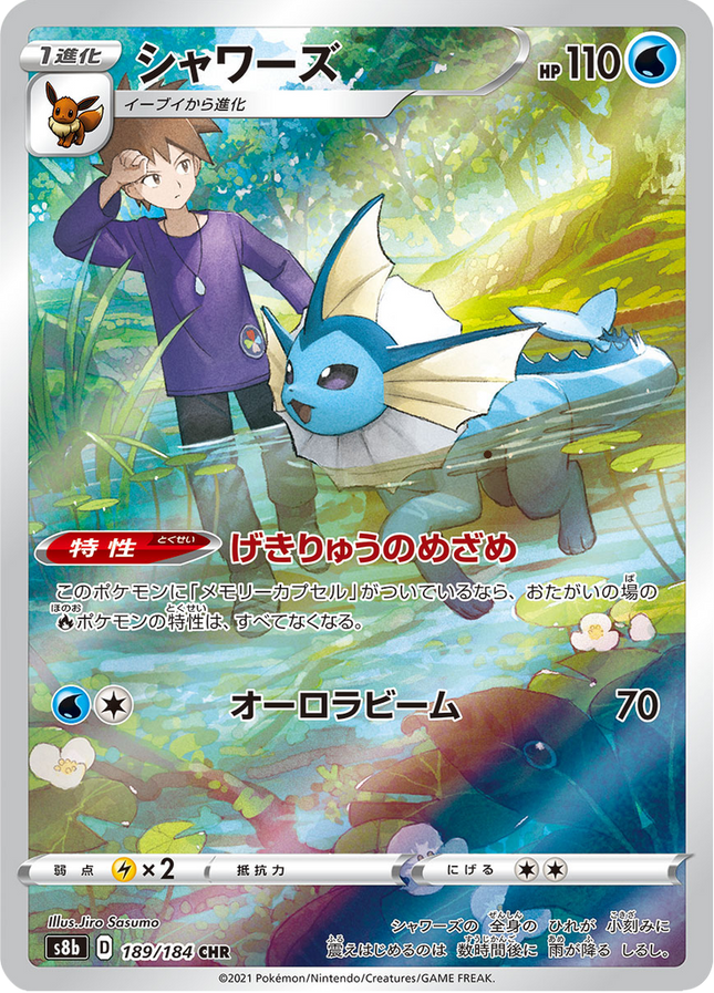 Full Art Japanese Pokemon