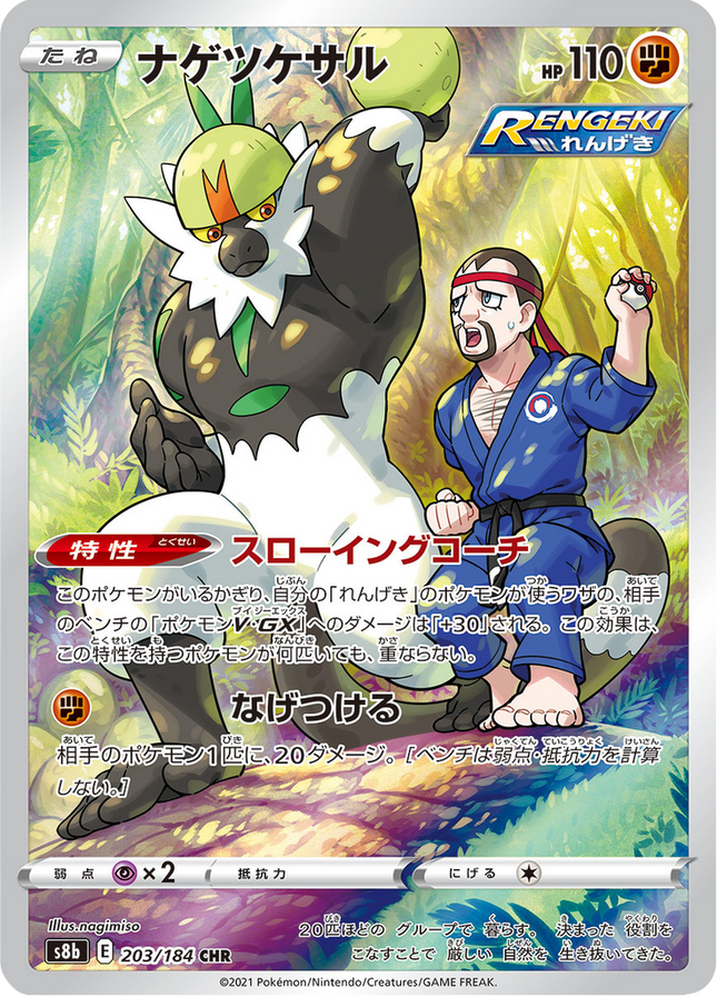 Full Art Japanese Pokemon