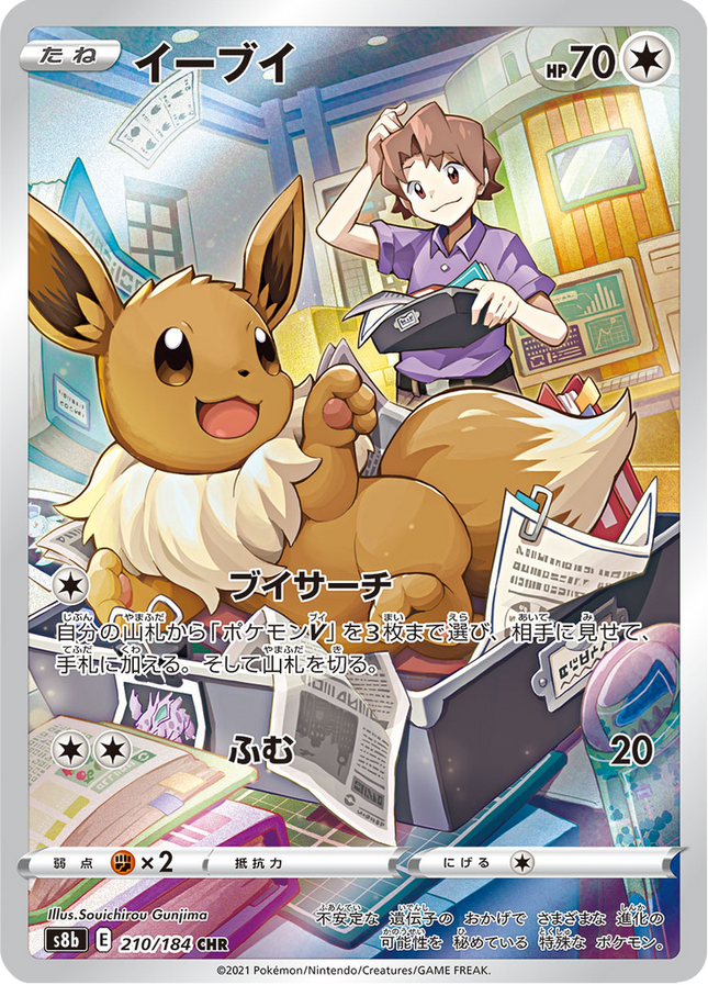 Full Art Japanese Pokemon