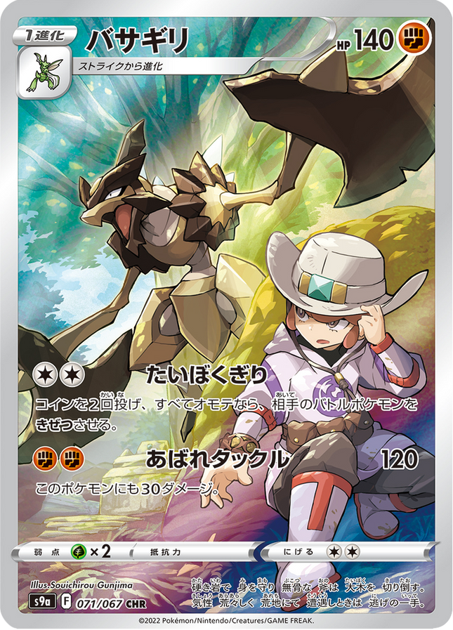 Full Art Japanese Pokemon