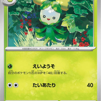 Base Set Pokemon Japanese Pokemon