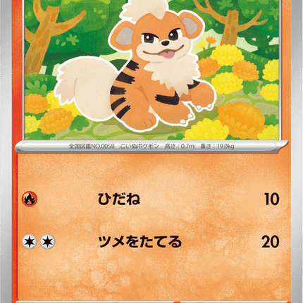 Base Set Pokemon Japanese Pokemon