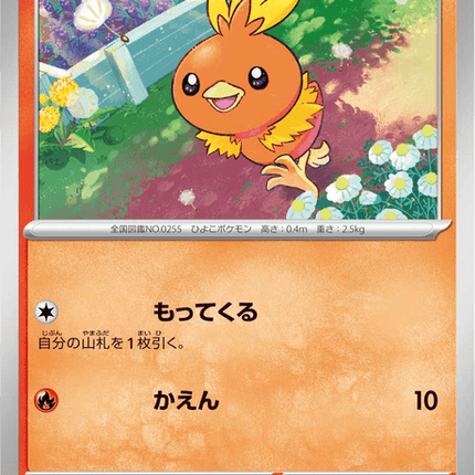Base Set Pokemon Japanese Pokemon