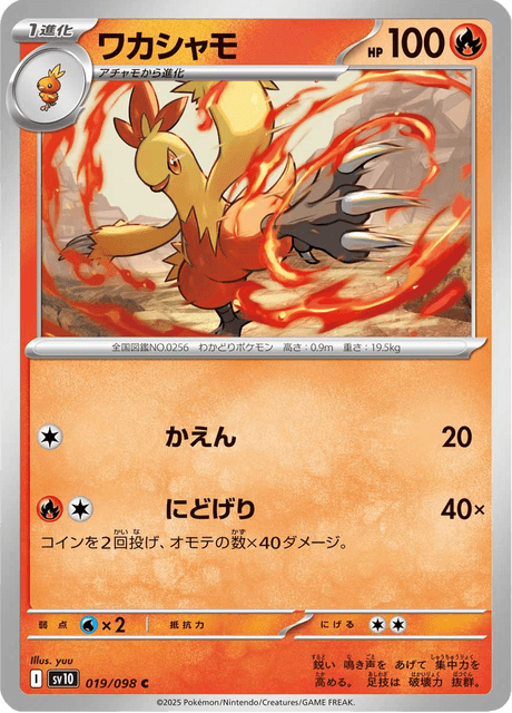Base Set Pokemon Japanese Pokemon