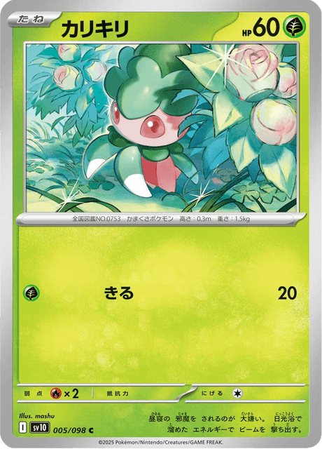 Base Set Pokemon Japanese Pokemon