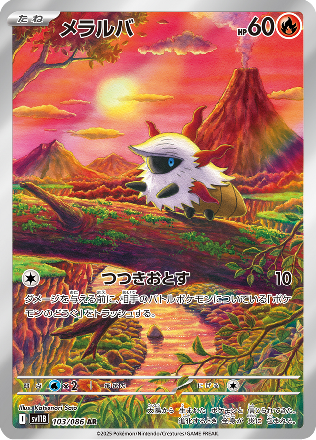 Full Art Pokemon Japanese Pokemon