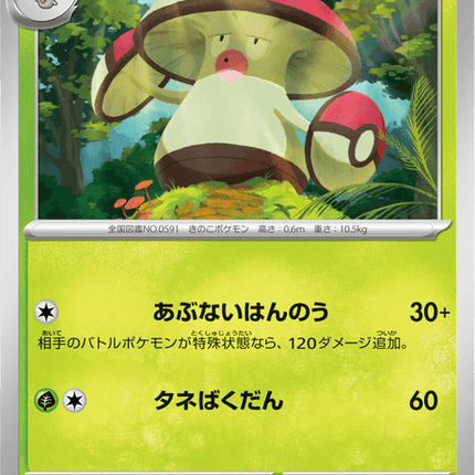 Base Set Pokemon Japanese Pokemon