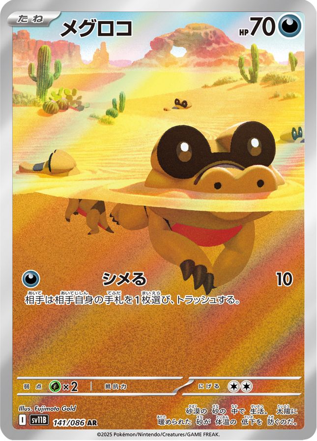 Full Art Pokemon Japanese Pokemon