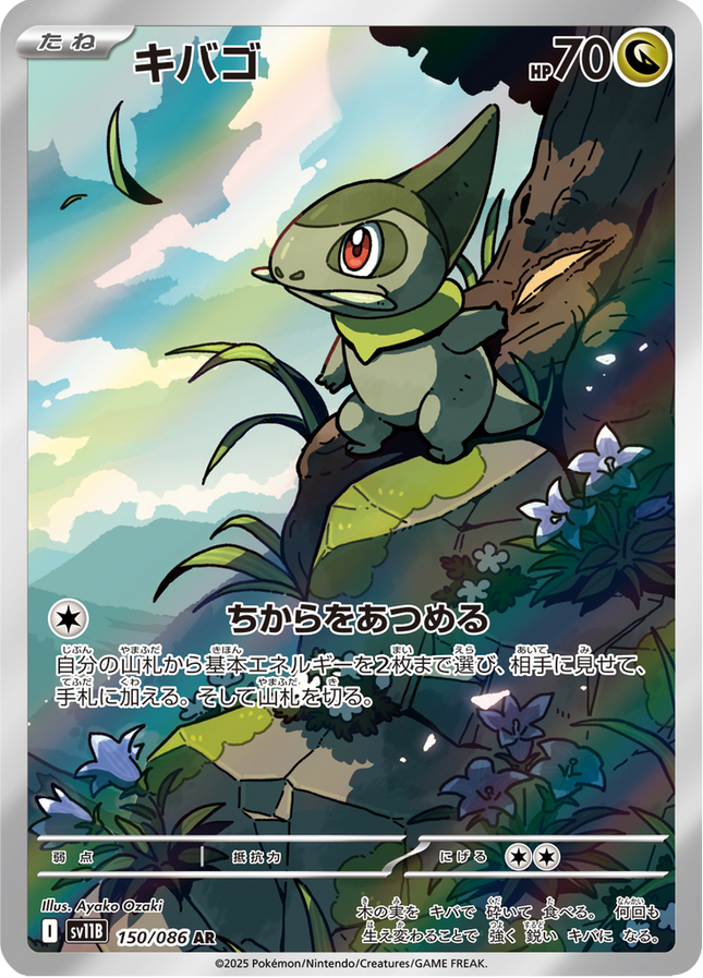 Full Art Pokemon Japanese Pokemon