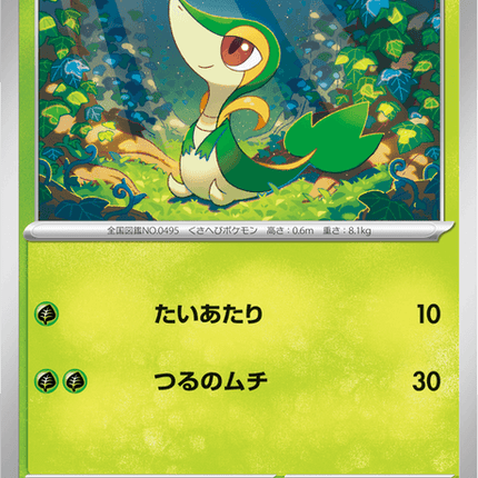 Base Set Pokemon Japanese Pokemon