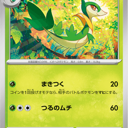 Base Set Pokemon Japanese Pokemon