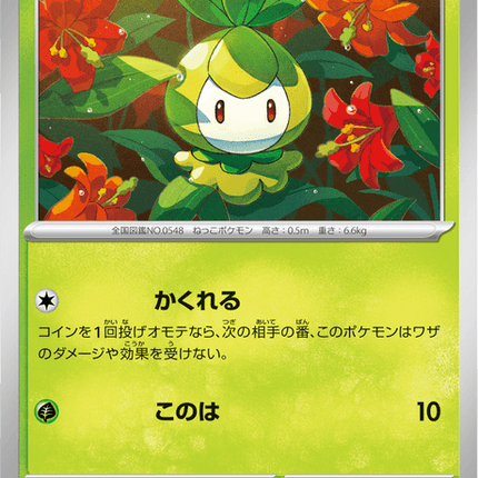 Base Set Pokemon Japanese Pokemon