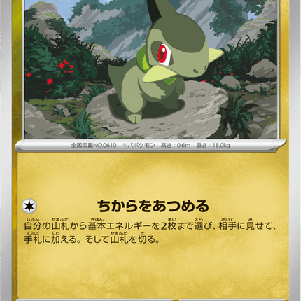 Base Set Pokemon Japanese Pokemon