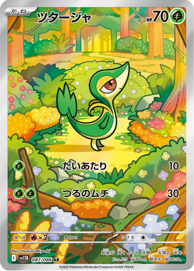 Full Art Pokemon Japanese Pokemon
