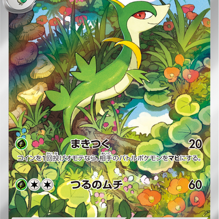 Full Art Pokemon Japanese Pokemon
