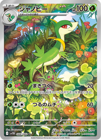 Full Art Pokemon Japanese Pokemon