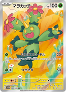 Full Art Pokemon Japanese Pokemon