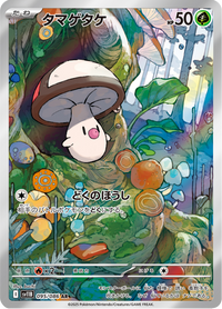 Full Art Pokemon Japanese Pokemon